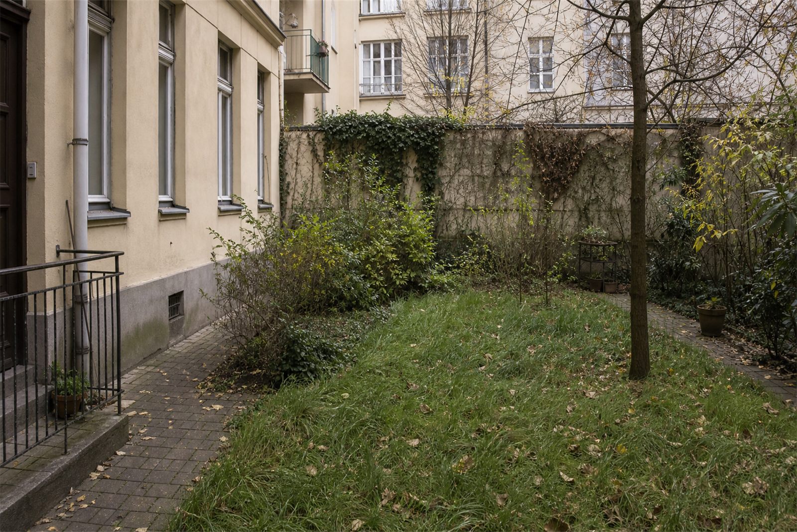 Overgrown Budapest courtyard before garden maintenance