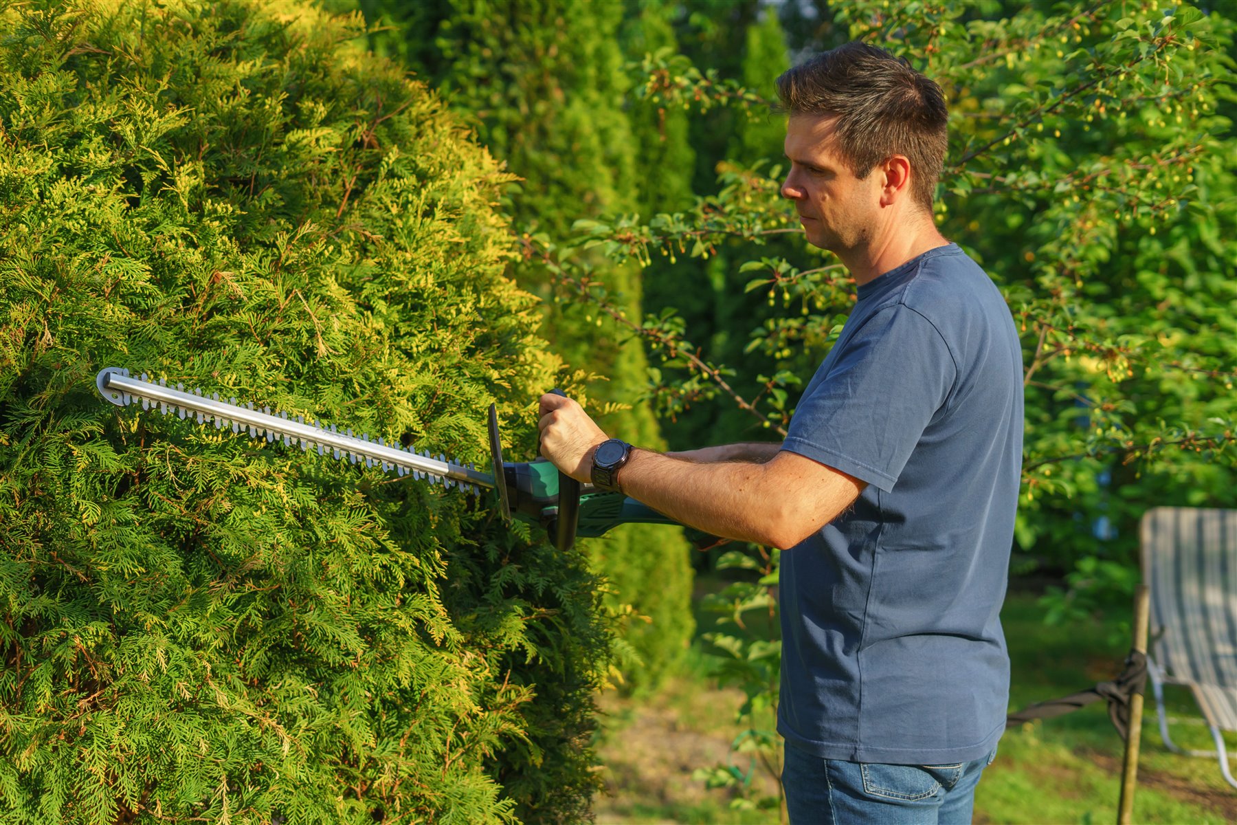 Garden worker trimming a hedge in a private residential garden
