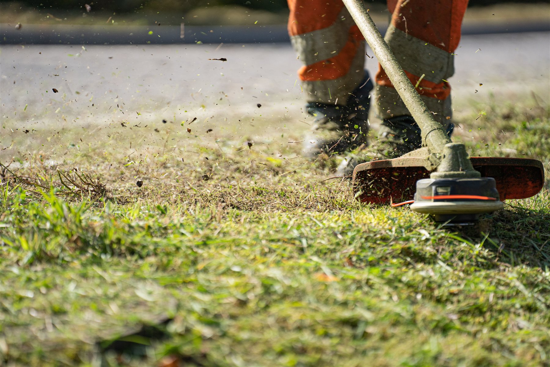 Close-up of a grass trimmer cutting lawn edges